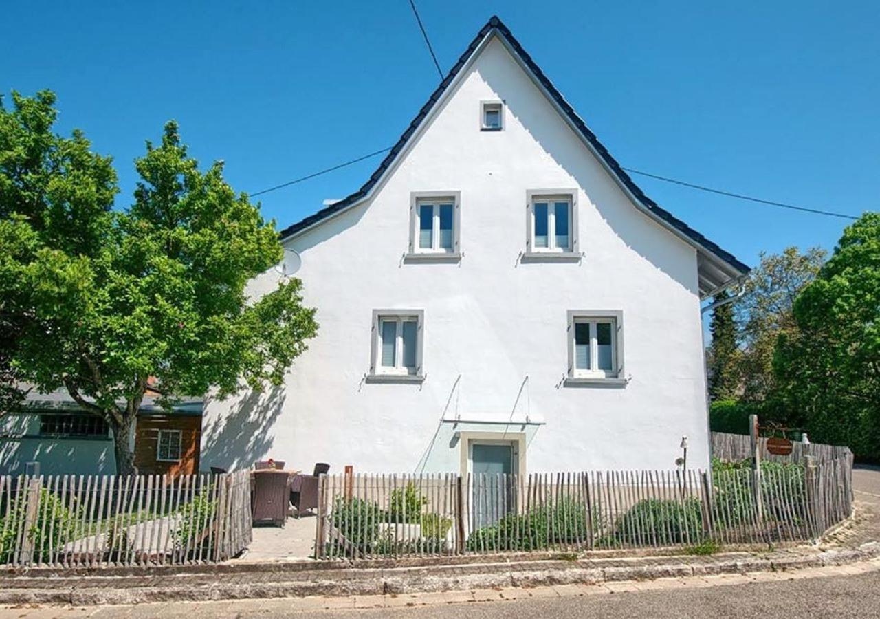 Ferienwohnung Im Weingewoelbe Staufen im Breisgau Exterior photo