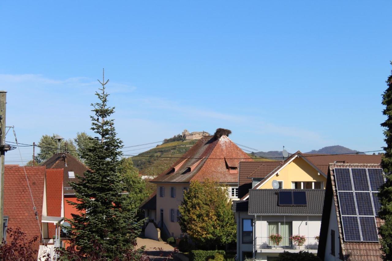 Ferienwohnung Im Weingewoelbe Staufen im Breisgau Exterior photo